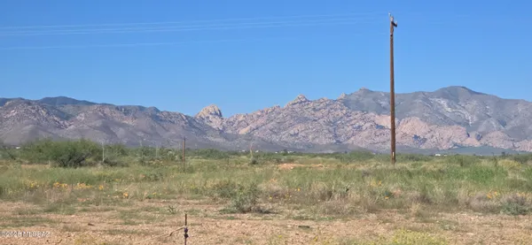$10,000 | Tbd North Cholla Drive, Unit 131, Pearce, AZ 85625