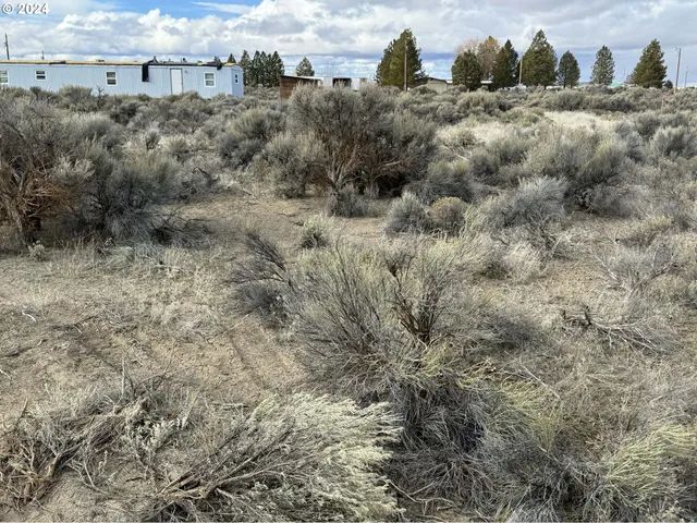 $9,500 | Elm Lane, Unit 5500, Christmas Valley, OR 97641