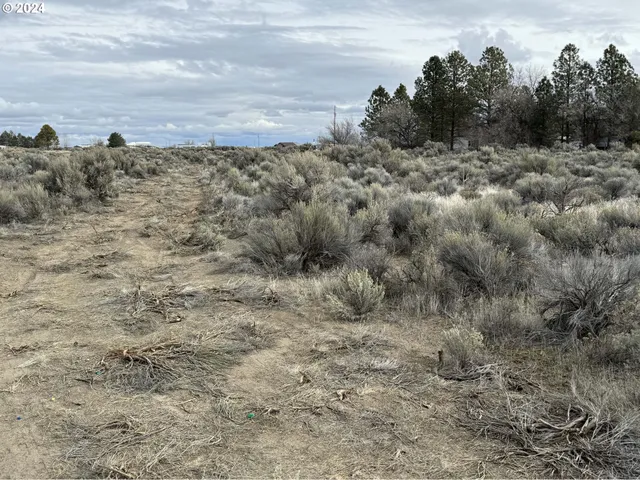 $9,500 | Elm Lane, Unit 5500, Christmas Valley, OR 97641