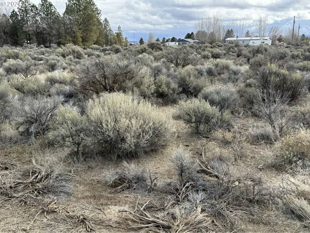 $9,500 | Elm Lane, Unit 5500, Christmas Valley, OR 97641