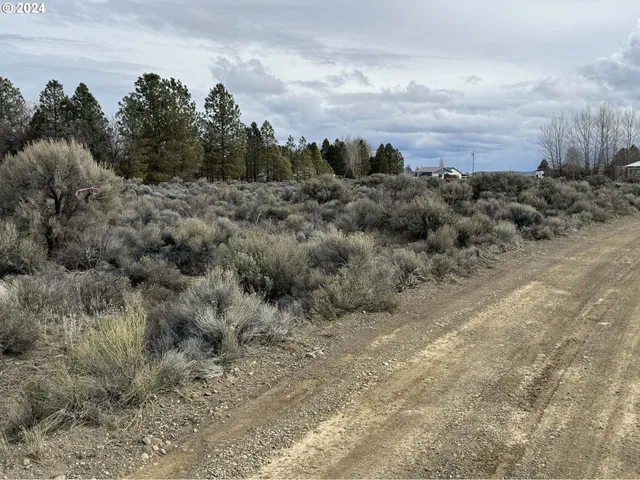 $9,500 | Elm Lane, Unit 5500, Christmas Valley, OR 97641