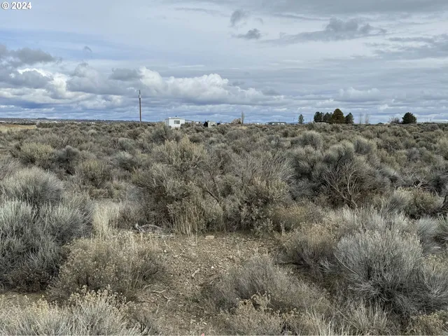 $9,500 | Elm Lane, Unit 5500, Christmas Valley, OR 97641