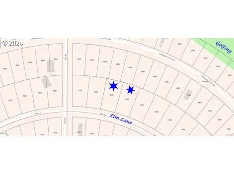 $9,500 | Elm Lane, Unit 5500, Christmas Valley, OR 97641