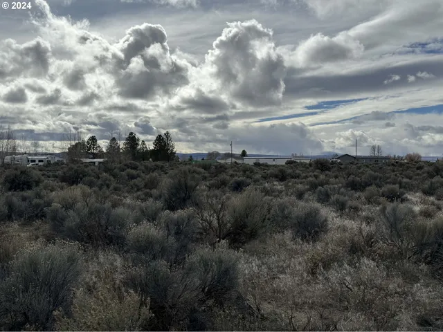 $9,500 | Elm Lane, Unit 5500, Christmas Valley, OR 97641