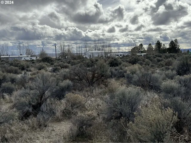 $9,500 | Elm Lane, Unit 5500, Christmas Valley, OR 97641