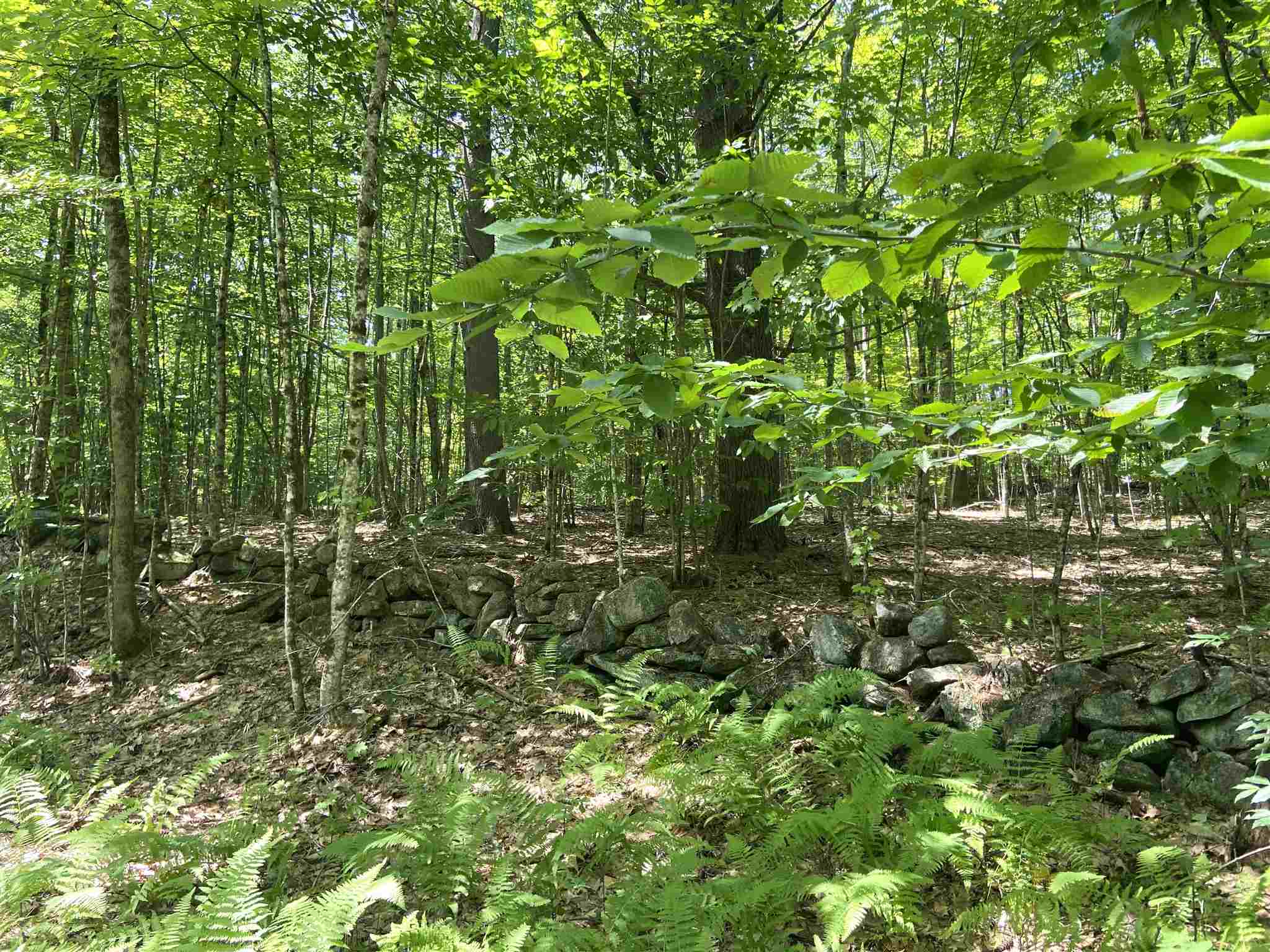 0 Gilman Road, Unit LOT 50 Gilmanton, NH 03237 - Photo 3 of 9