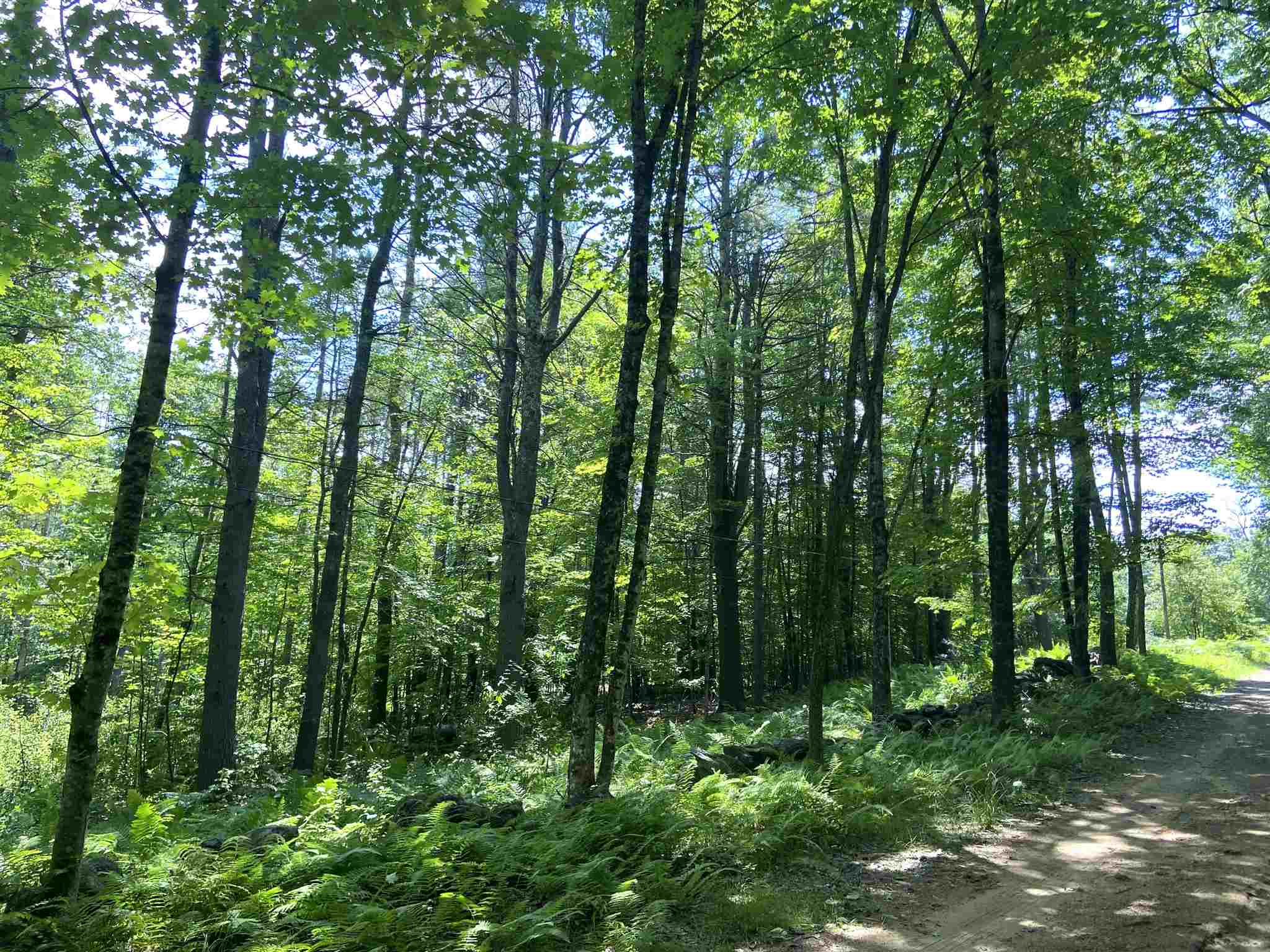0 Gilman Road, Unit LOT 50 Gilmanton, NH 03237 - Photo 4 of 9