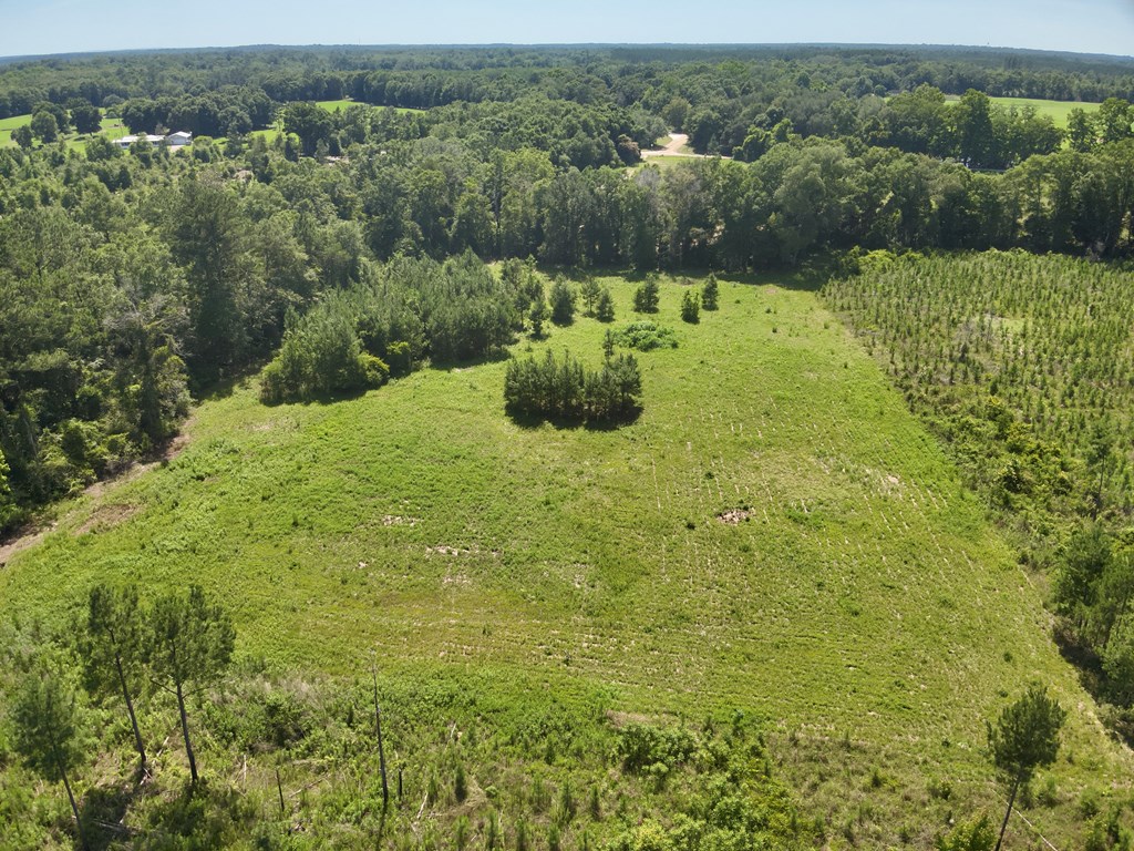 60-acres Hutton Road Hartford, AL 36344 - Photo 21 of 31