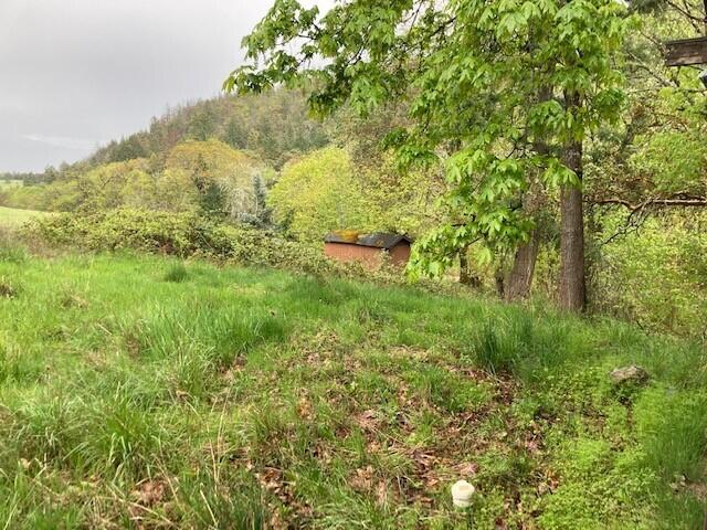 2230 Anderson Creek Road Talent, OR 97540 - Photo 20 of 27 2230 Anderson Creek - Pic 22