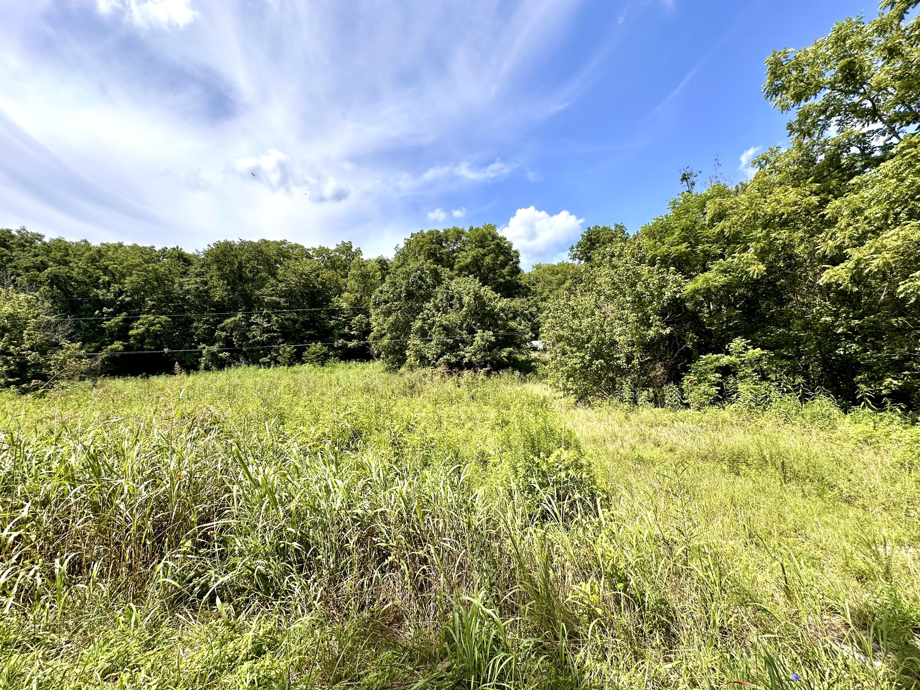 839 Saltwell Road Carlisle, KY 40311 - Photo 15 of 20 IMG_2120
