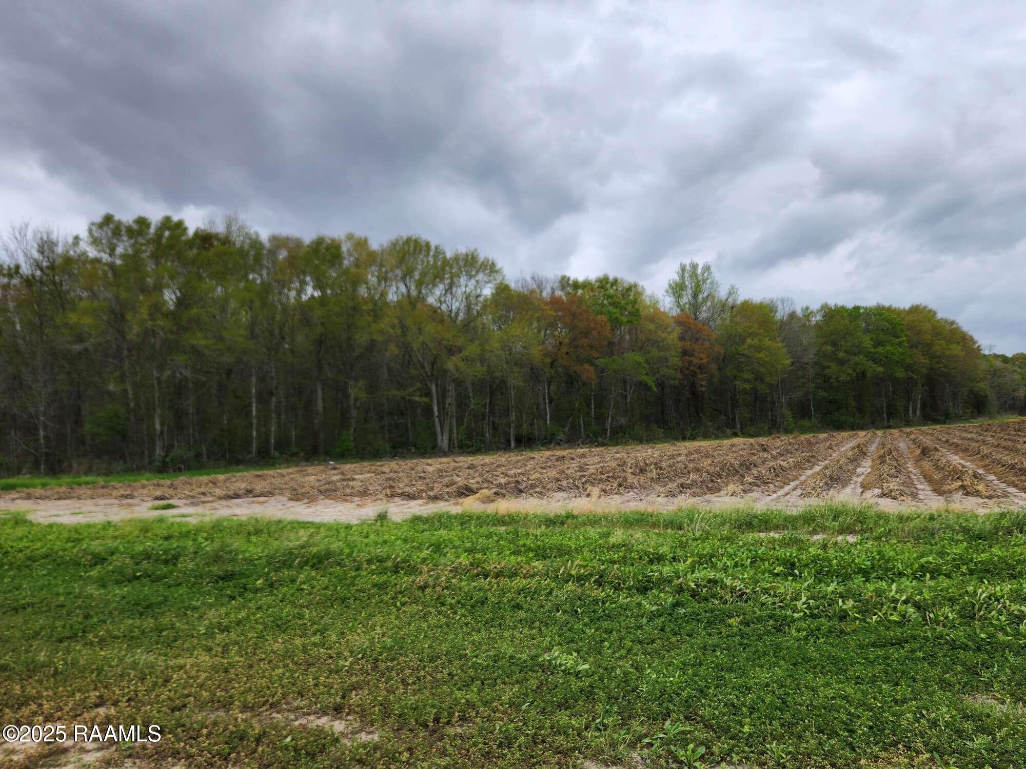 1000 Grand Chemin Road St. Martinville, LA 70582 - Photo 11 of 14 Compress_20250323_091219_9786