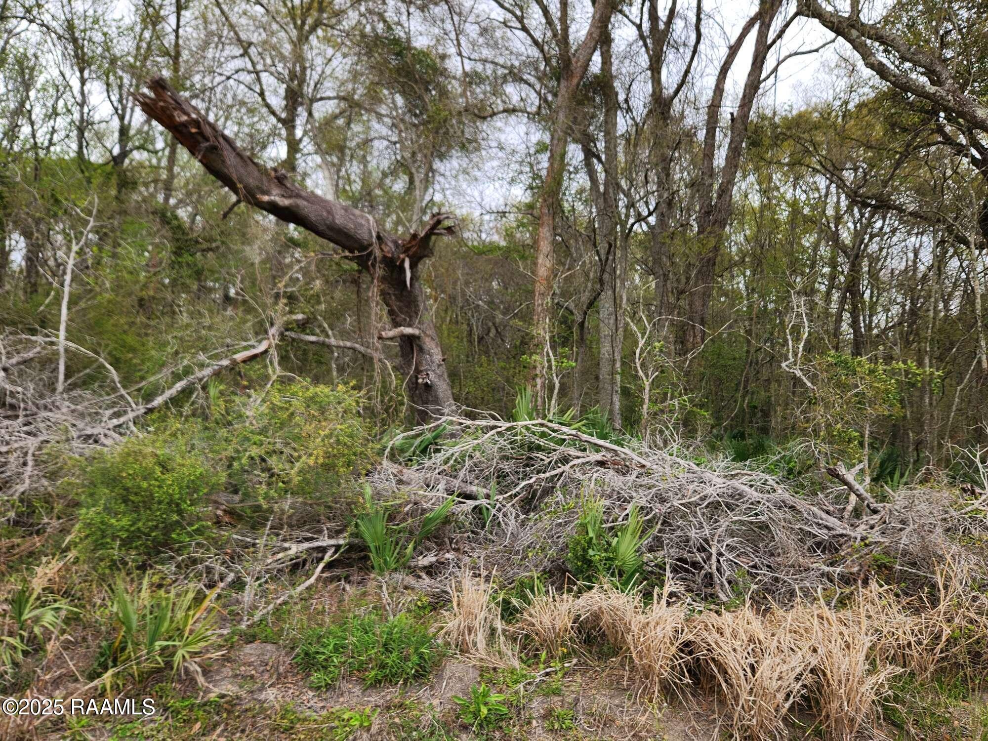 1000 Grand Chemin Road St. Martinville, LA 70582 - Photo 5 of 14 Compress_20250323_091218_8545