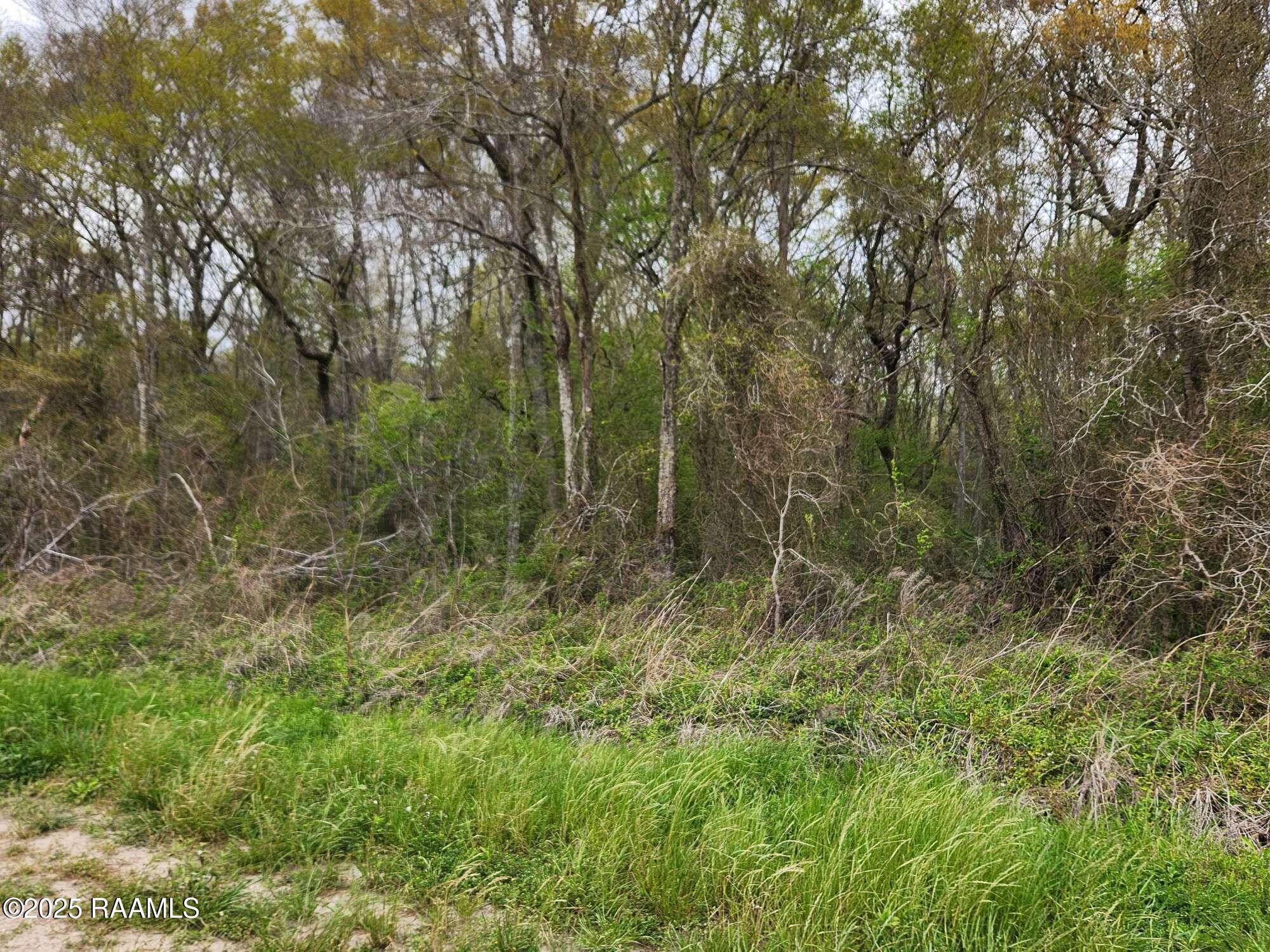 1000 Grand Chemin Road St. Martinville, LA 70582 - Photo 6 of 14 Compress_20250323_091218_8820