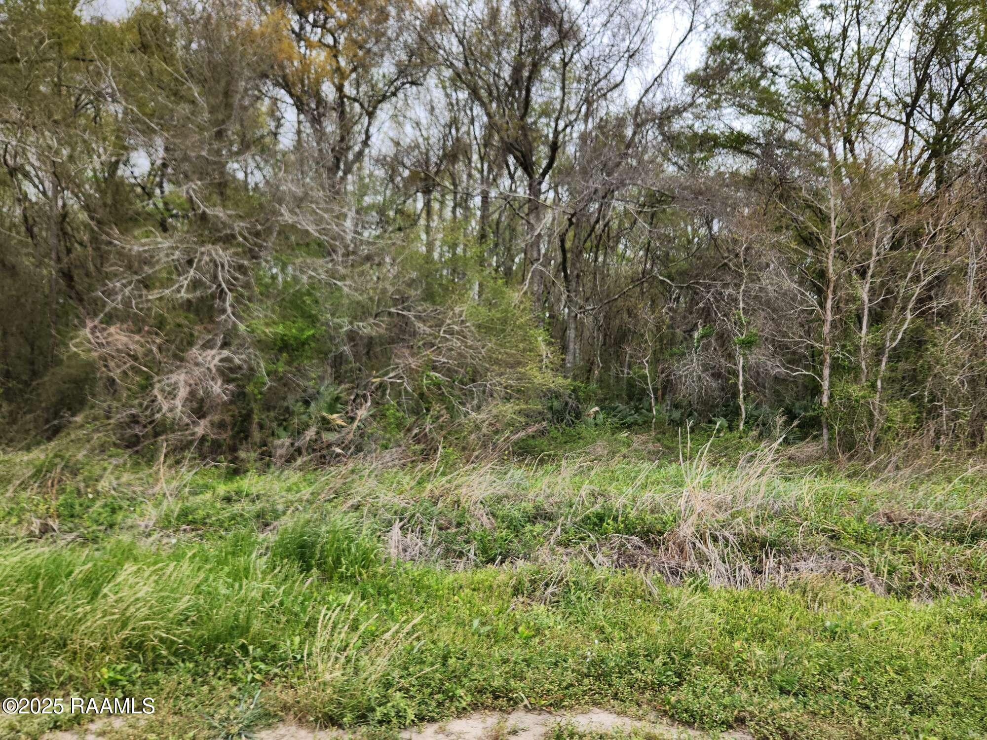 1000 Grand Chemin Road St. Martinville, LA 70582 - Photo 7 of 14 Compress_20250323_091219_9030