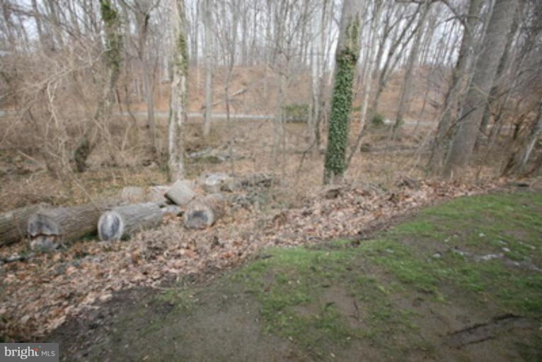 3323 Sea Port Way Silver Spring, MD 20902 - Photo 20 of 29 a view of a backyard of the house
