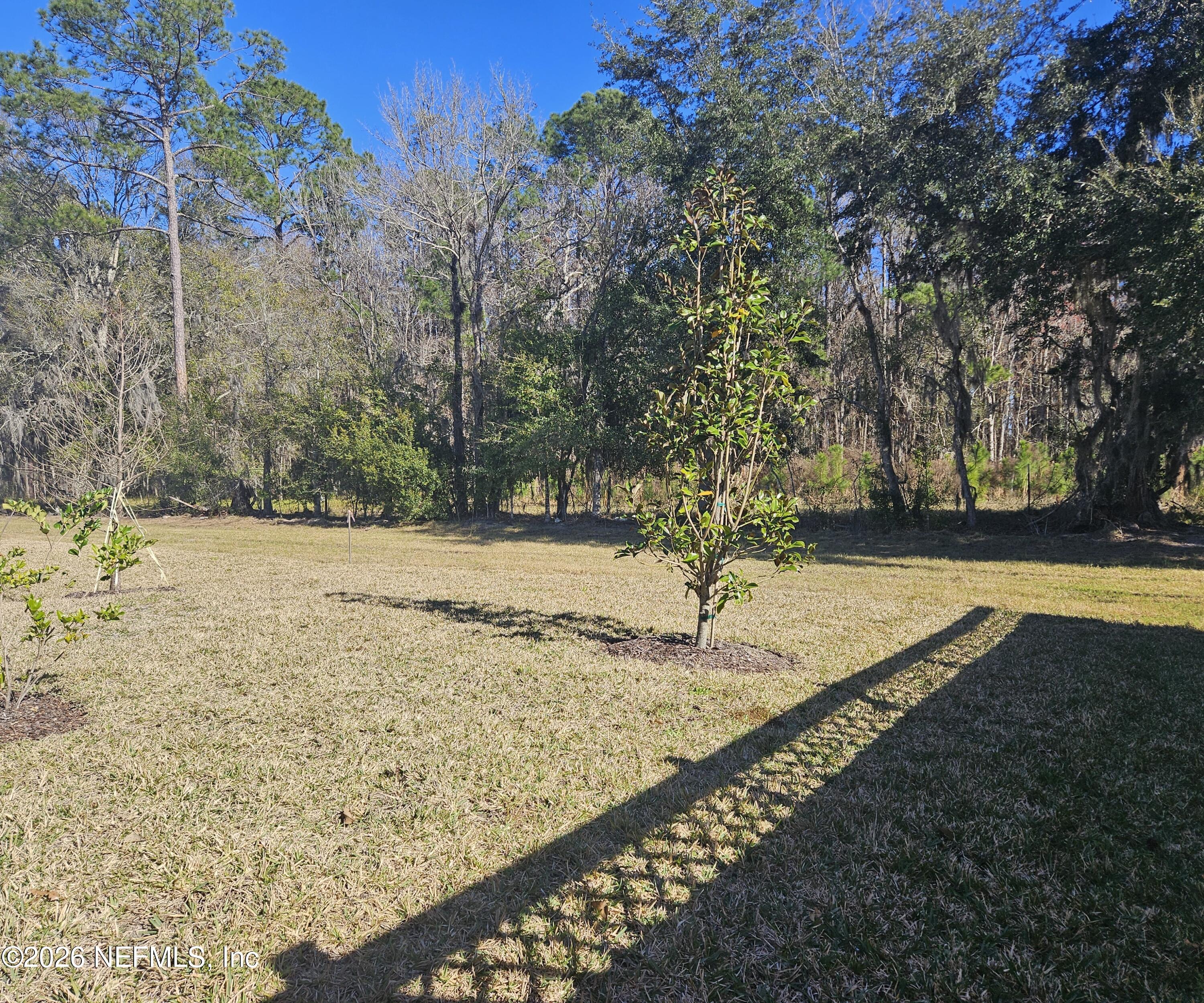 434 Cedar Elm Way St. Augustine, FL 32092 - Photo 22 of 27 a view of a yard with trees