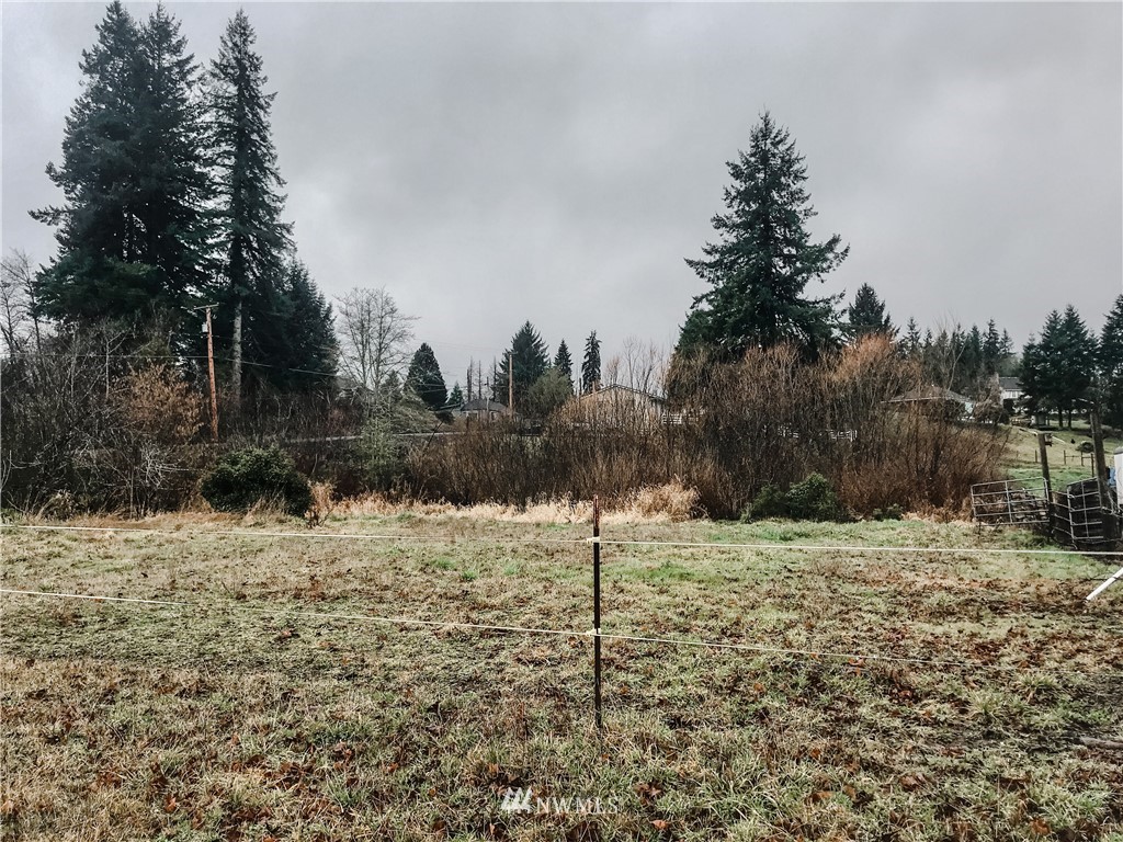 3601 Oldani Road Raymond, WA 98577 - Photo 1 of 6 Gallery Image 1
