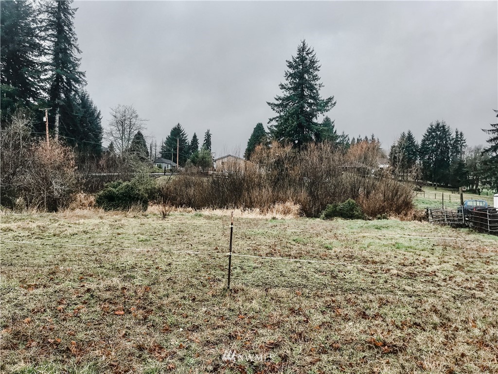 3601 Oldani Road Raymond, WA 98577 - Photo 2 of 6 Gallery Image 2