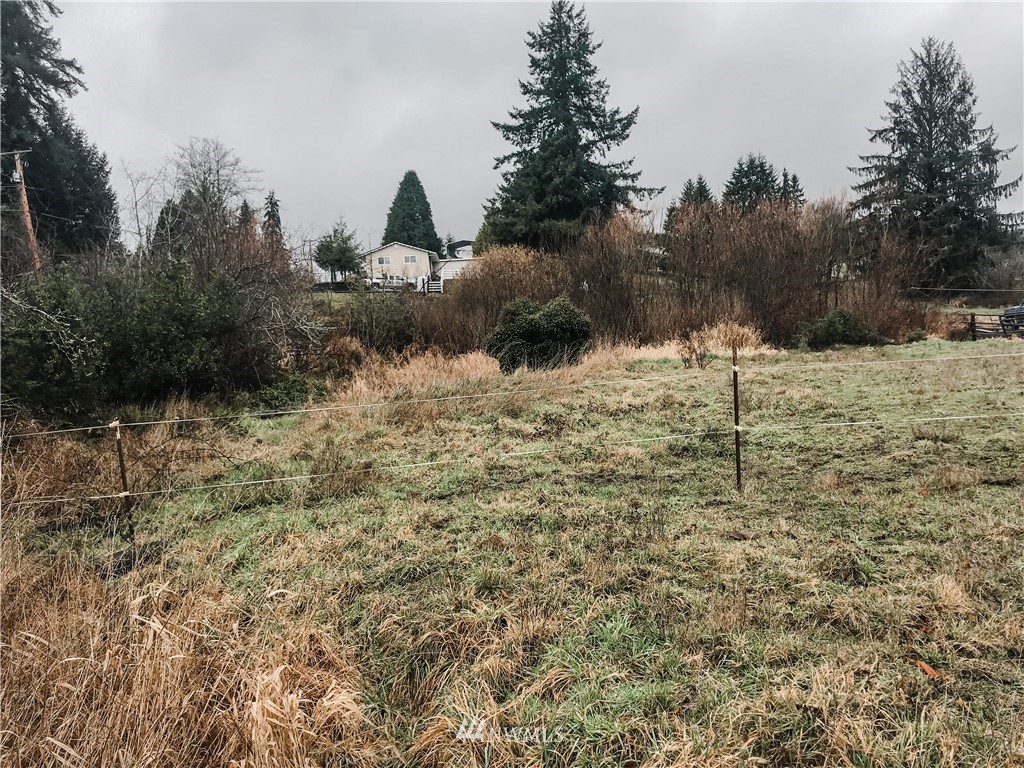 3601 Oldani Road Raymond, WA 98577 - Photo 3 of 6 Gallery Image 3