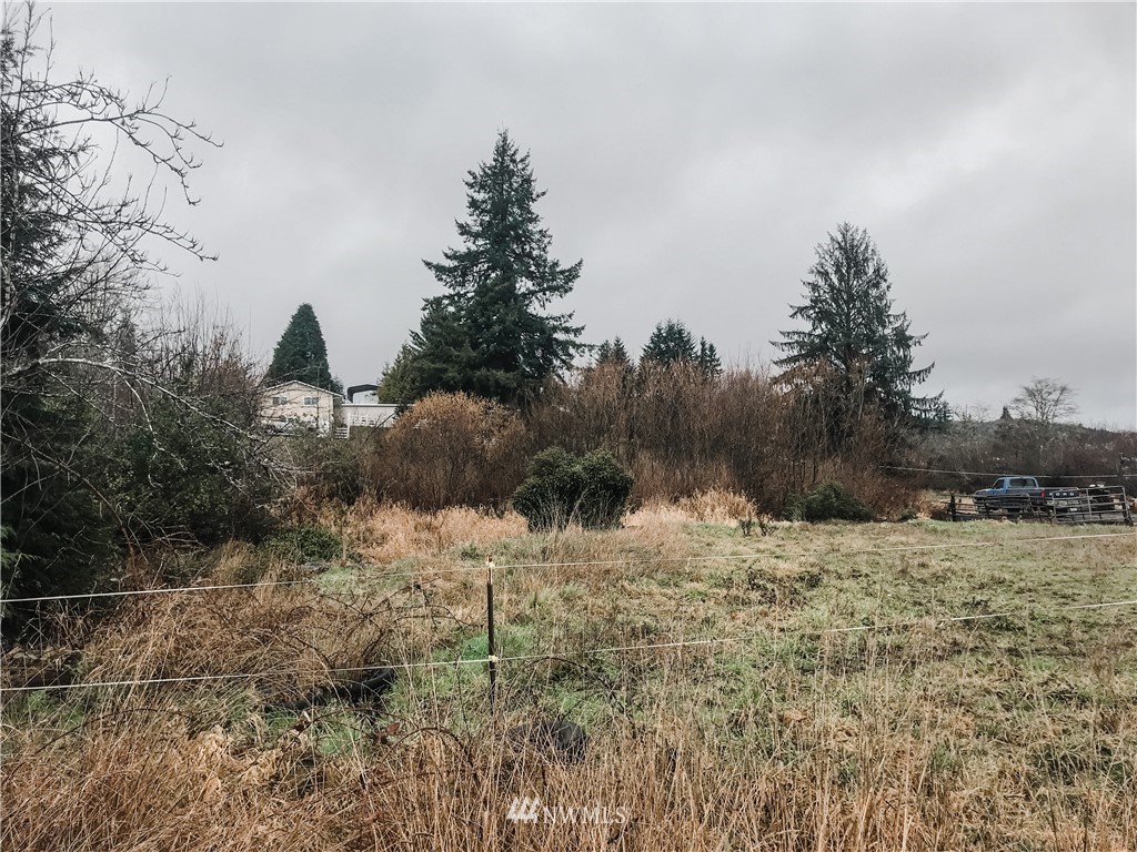 3601 Oldani Road Raymond, WA 98577 - Photo 4 of 6 Gallery Image 4