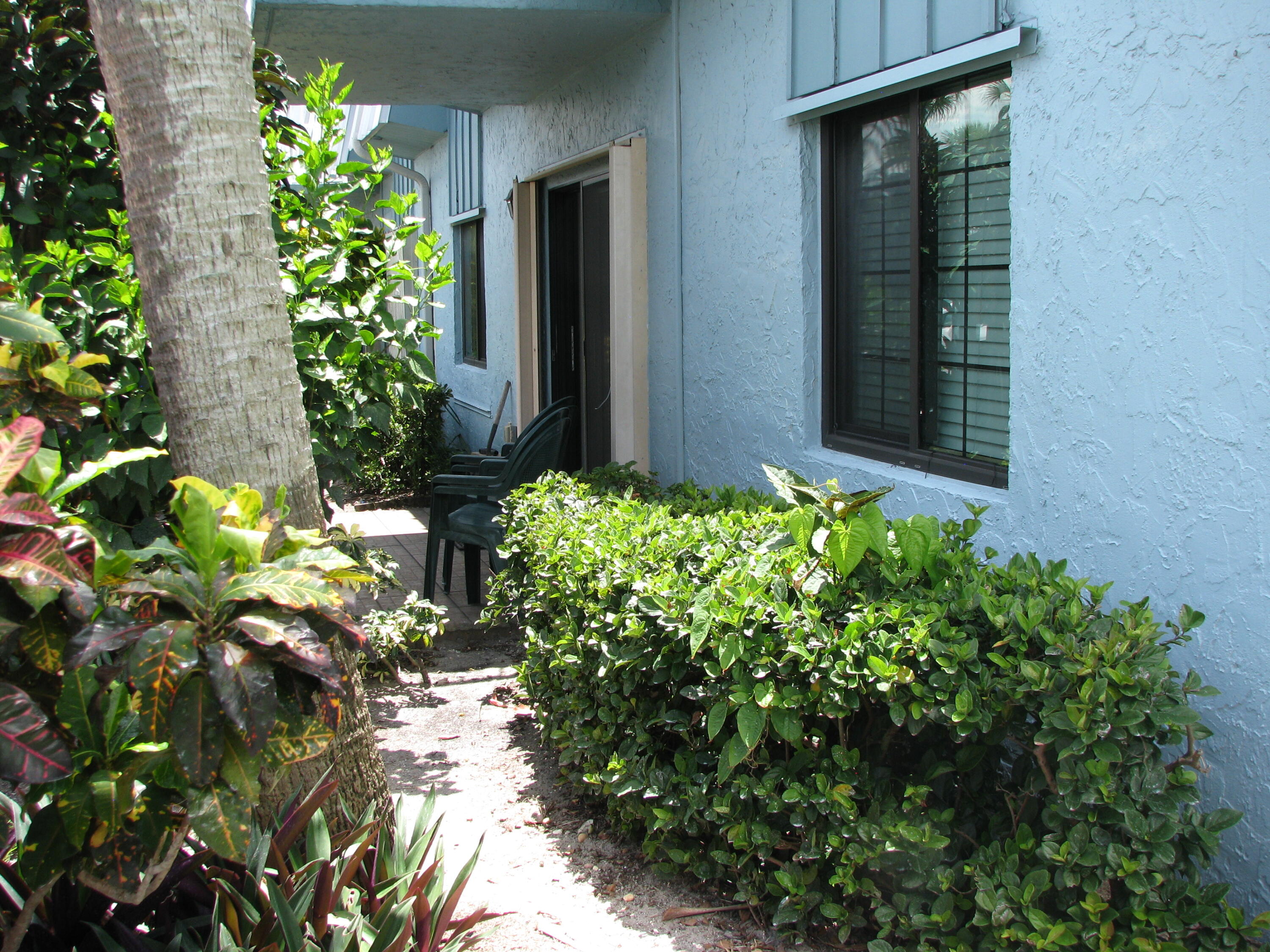 950 South Kanner Highway, Unit D4 Stuart, FL 34994 - Photo 26 of 36 a plant that is in front of a house