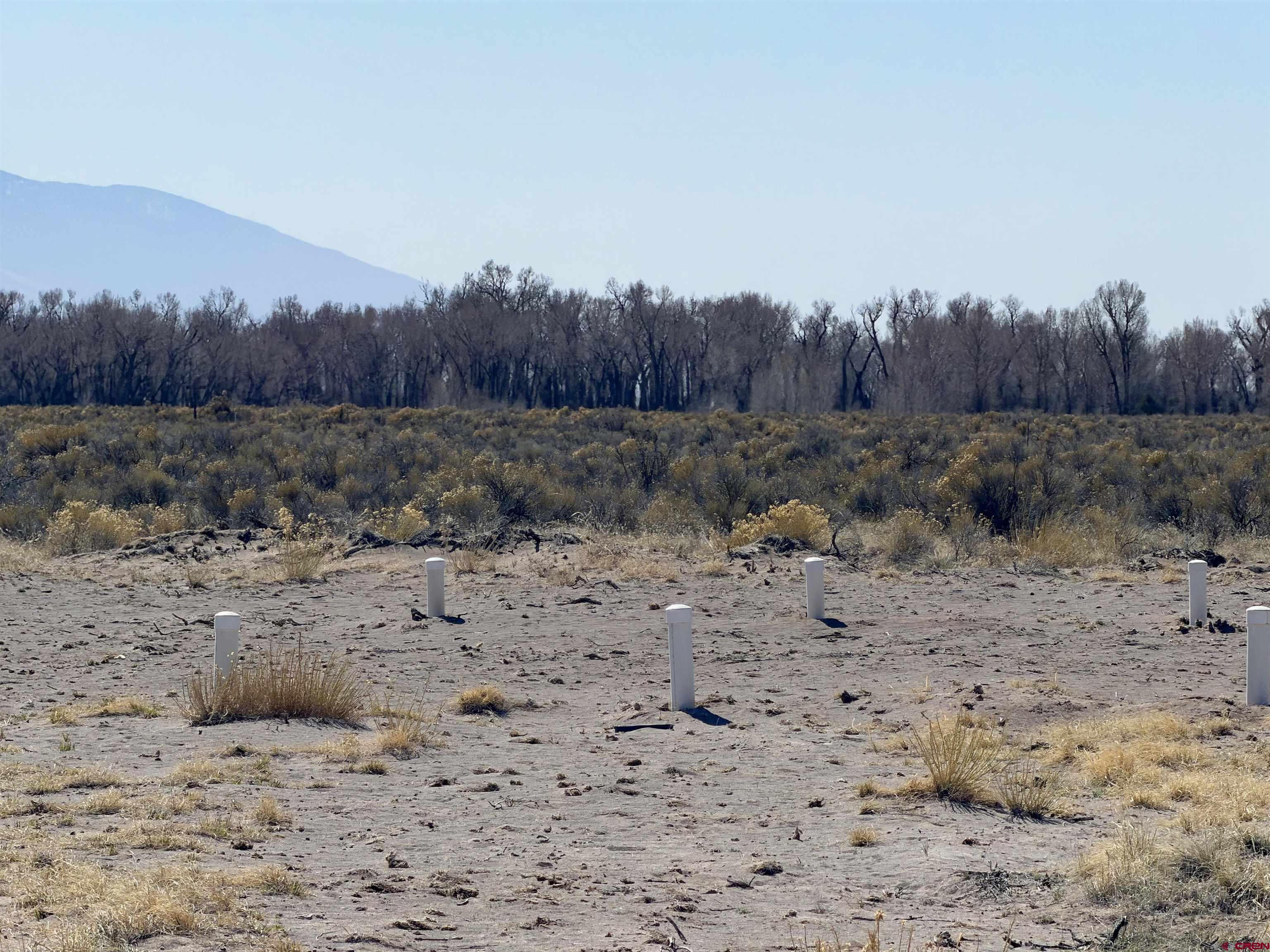 764 Camino Del Rey Crestone, CO 81131 - Photo 6 of 8 a view of a yard