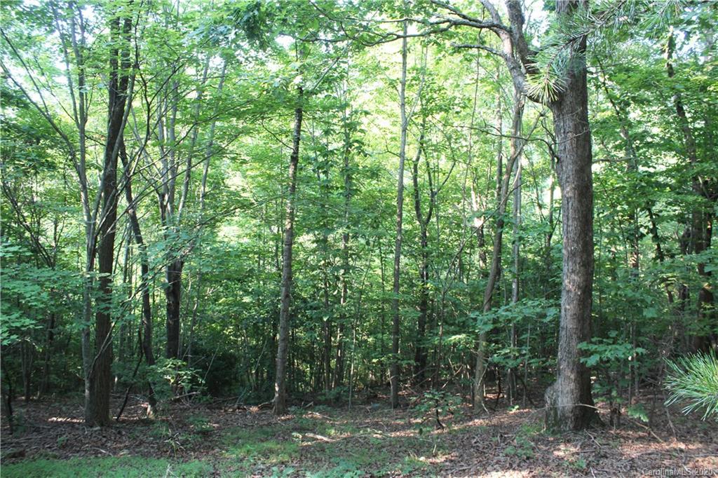 464 Mason Road Ellenboro, NC 28040 - Photo 3 of 14 Gallery Image 3