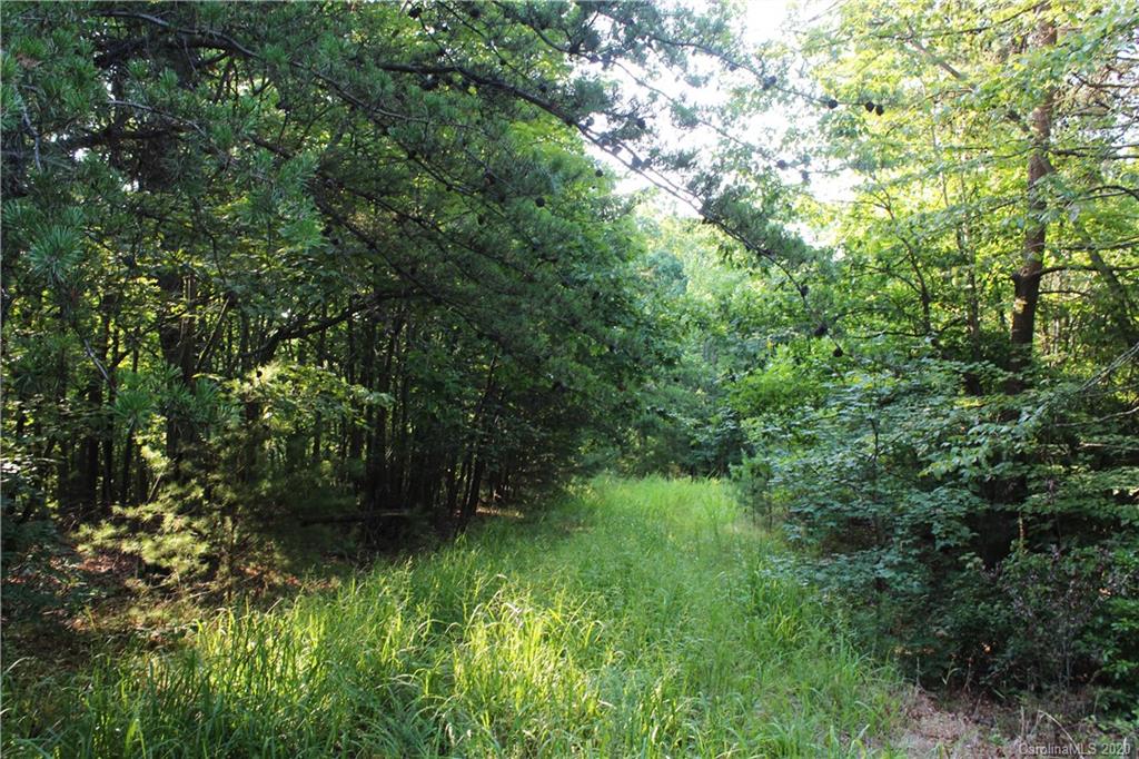 464 Mason Road Ellenboro, NC 28040 - Photo 7 of 14 Gallery Image 7