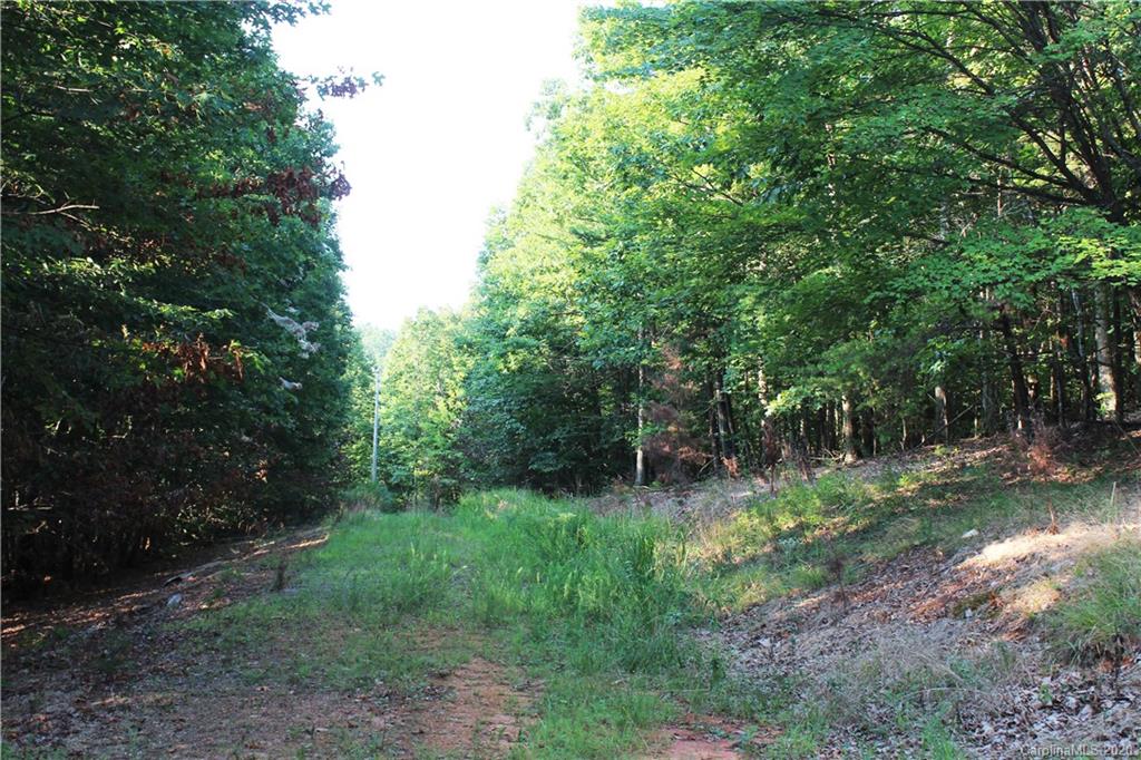 464 Mason Road Ellenboro, NC 28040 - Photo 9 of 14 Gallery Image 9