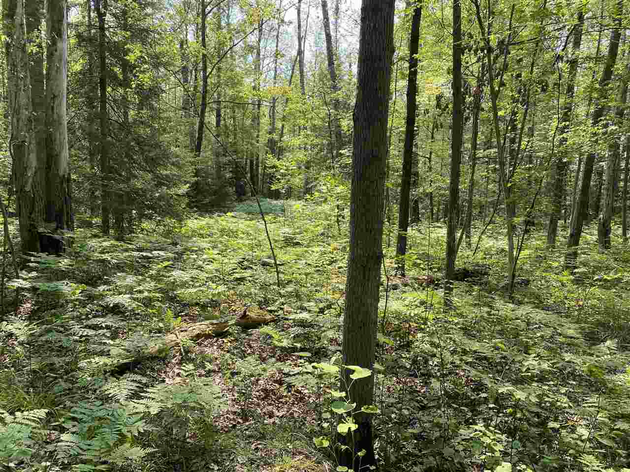 0 Briggs Road Omer, MI 48749 - Photo 12 of 45