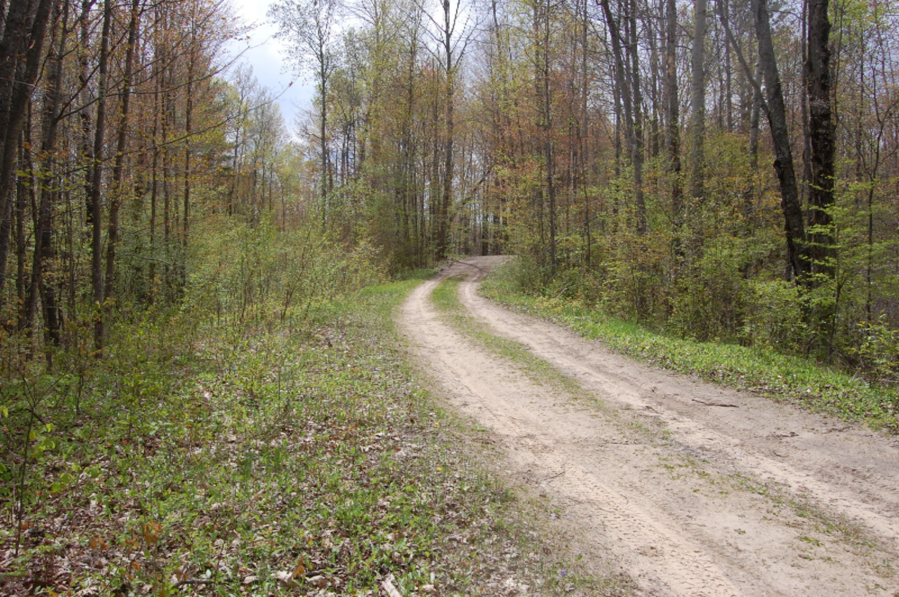 Bard Road Gladwin, MI 48624 - Photo 4 of 4 Hoop pic 4