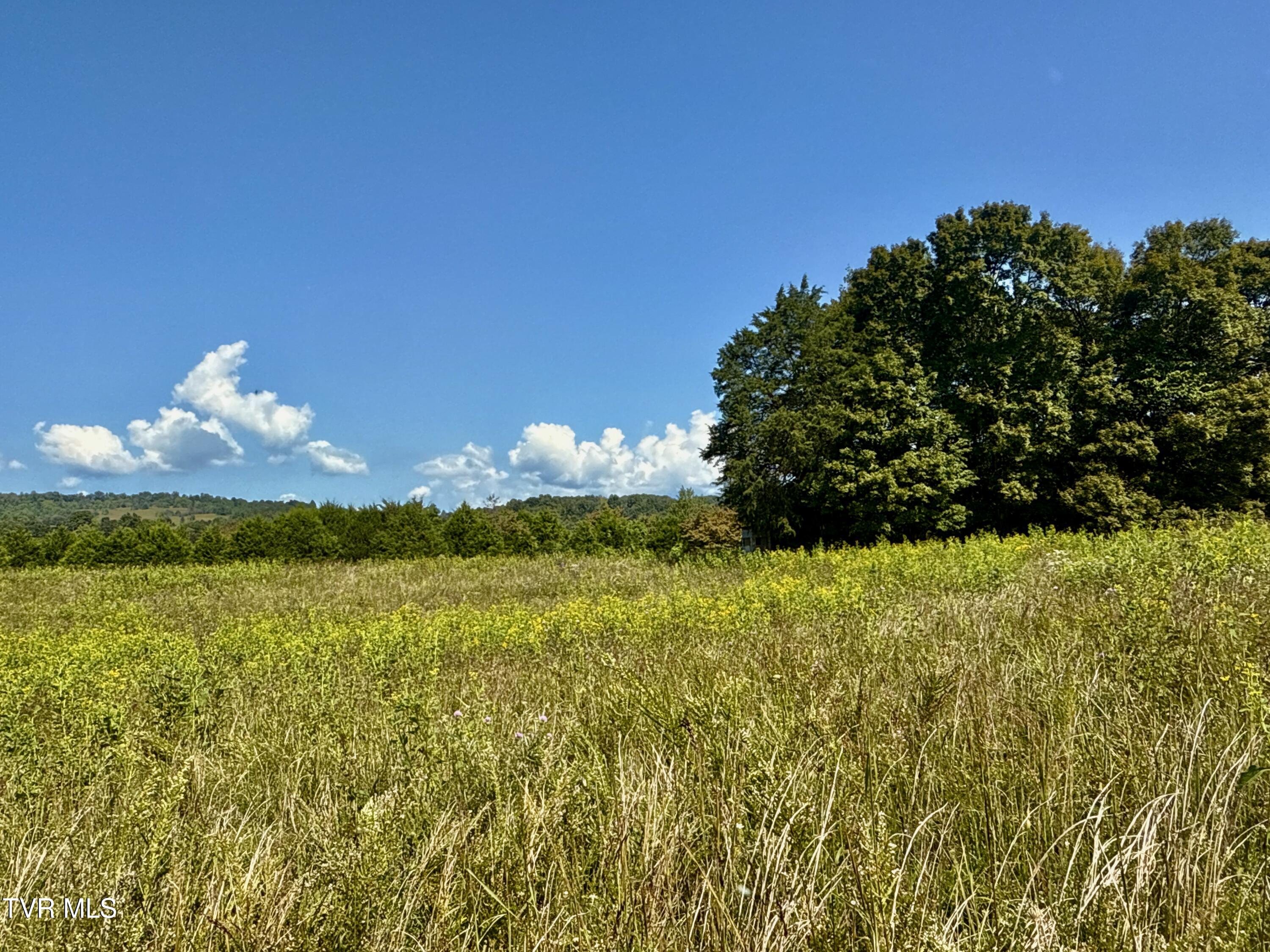 2114 Powell River Road Tazewell, TN 37879 - Photo 90 of 122 _Pic87 (3)