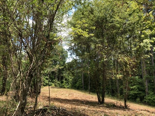18 White Plains Road Vonore, TN 37885 - Photo 9 of 11 FDE0AF2F-FB45-46A1-85D3-6CFE23AFA286