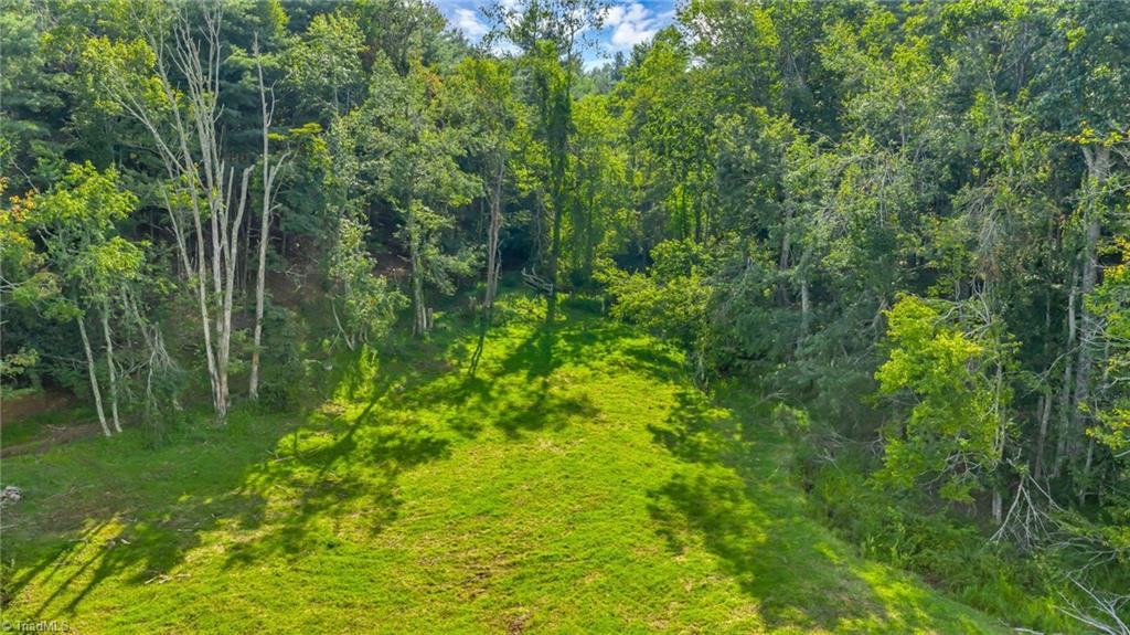 Tbd Murphy Bend Road Ennice, NC 28623 - Photo 42 of 50 Gallery Image 42