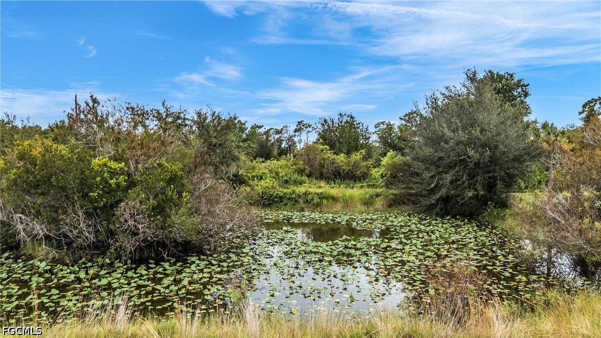 30720 Washington Loop Road Punta Gorda, FL 33982 - Photo 47 of 47 Gallery Image 47