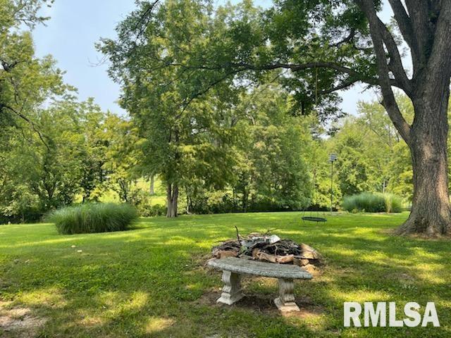 407 West Water Street Pinckneyville, IL 62274 - Photo 7 of 25