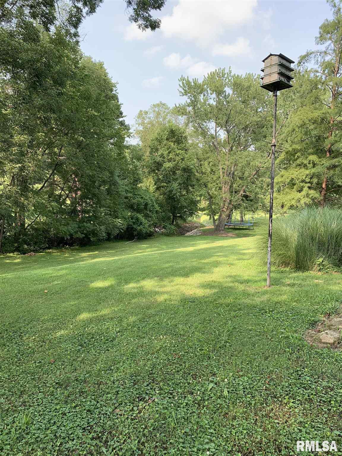 407 West Water Street Pinckneyville, IL 62274 - Photo 9 of 25