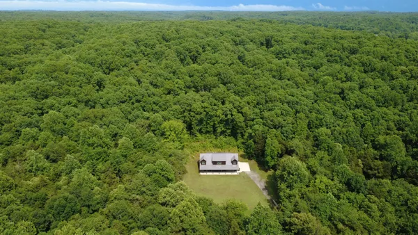 a view of a big yard with large trees