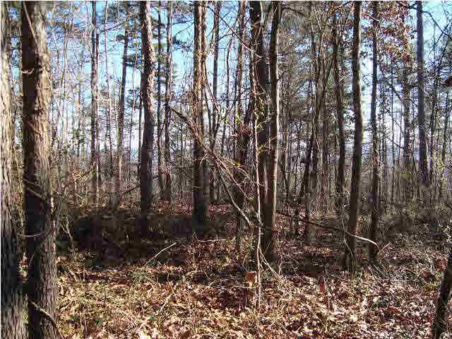 24 Highway Ac Al, Unit 10 13 Springville, AL 35146 - Photo 3 of 6