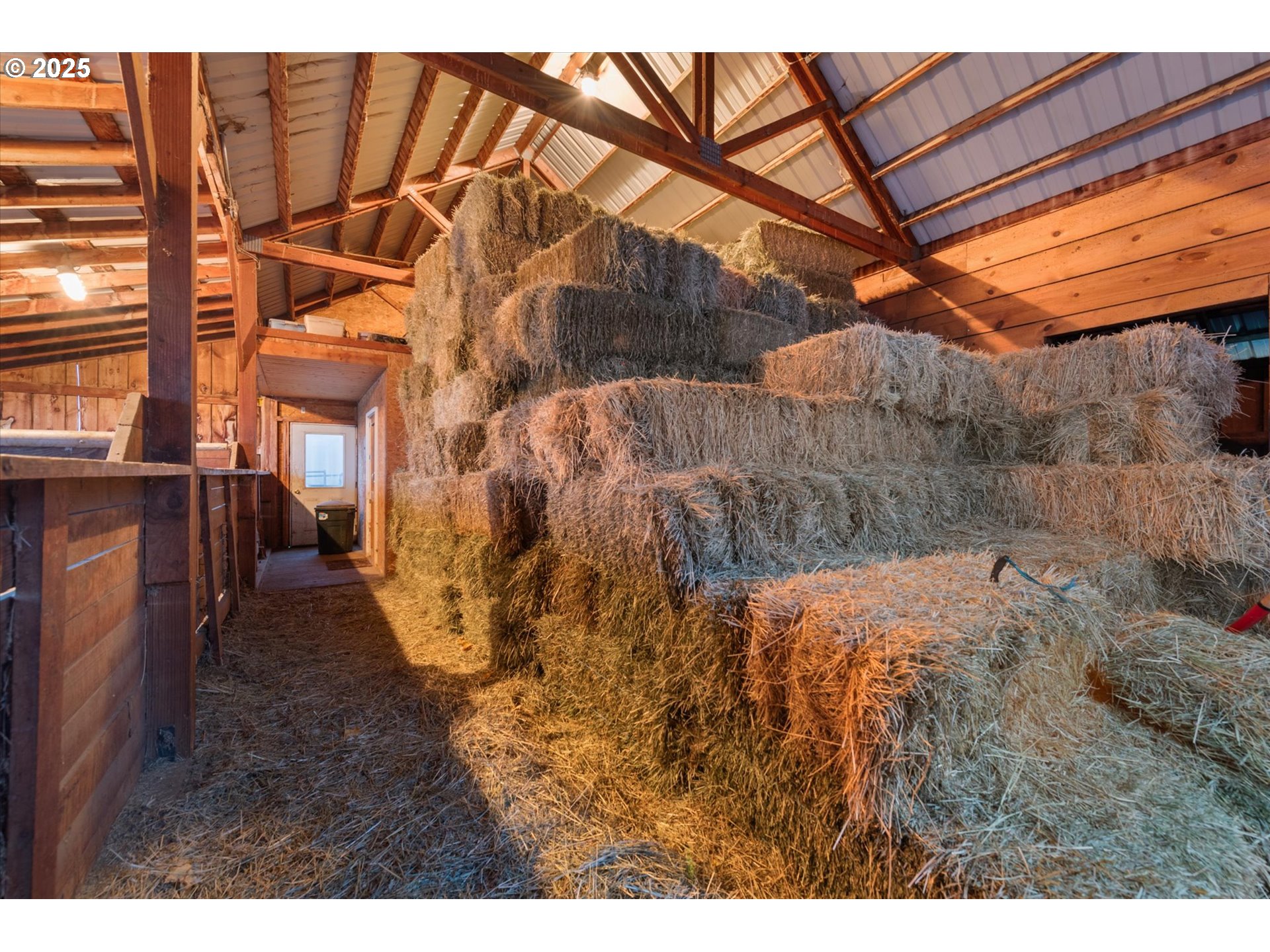 62123 Chandler Loop La Grande, OR 97850 - Photo 47 of 48 a view of a backyard