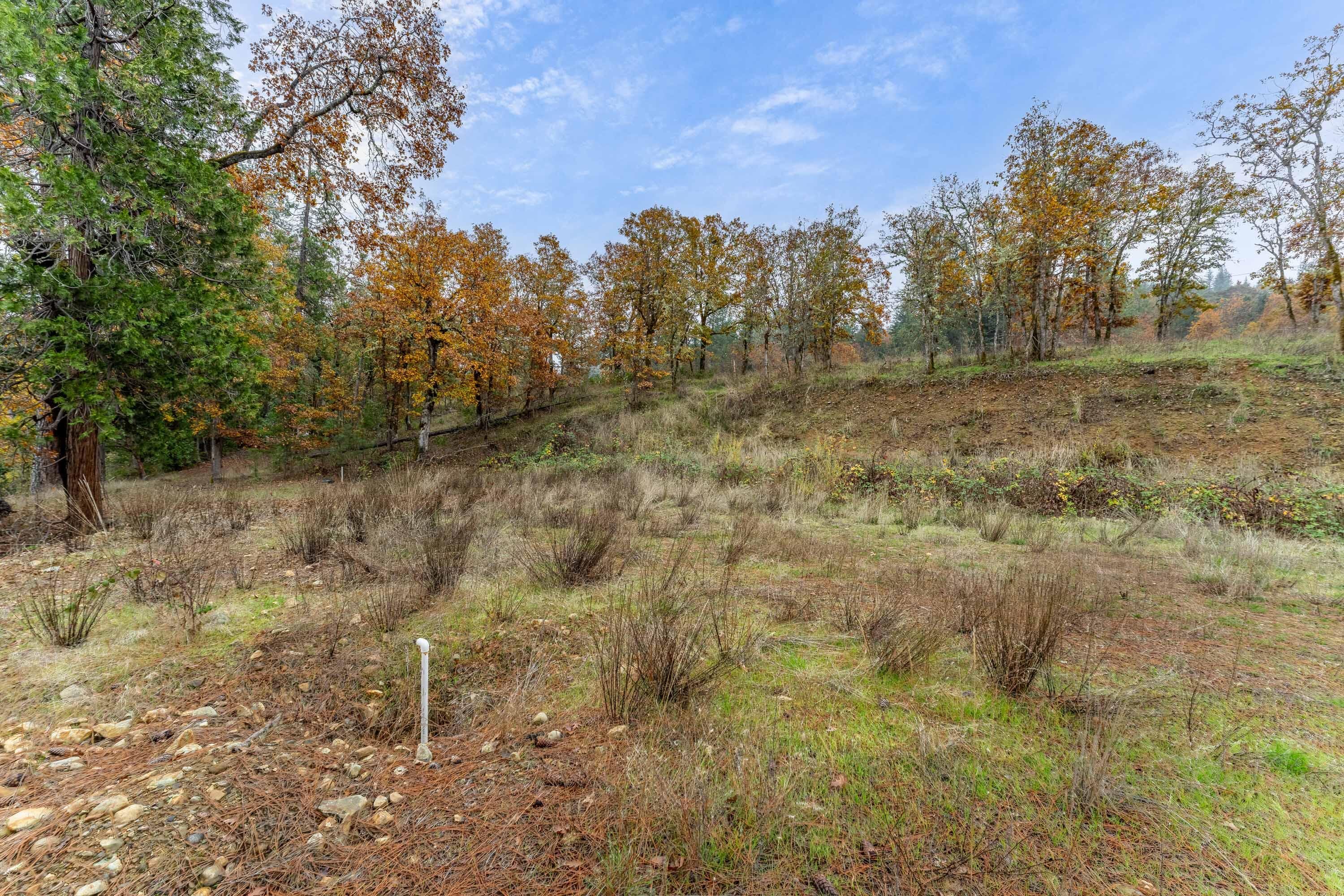 1700 Abegg Road Merlin, OR 97532 - Photo 7 of 17 EXT (2 of 7)
