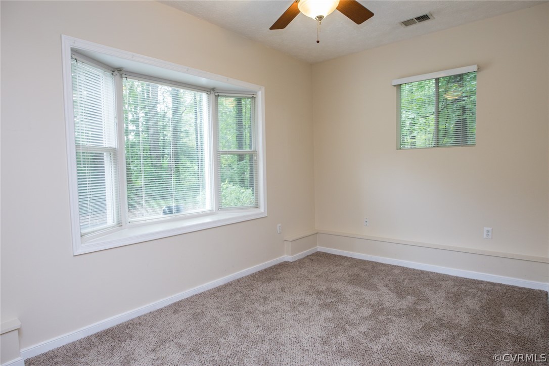 3958 North Hen Peck Road Quinton, VA 23141 - Photo 46 of 49 Gallery Image 46