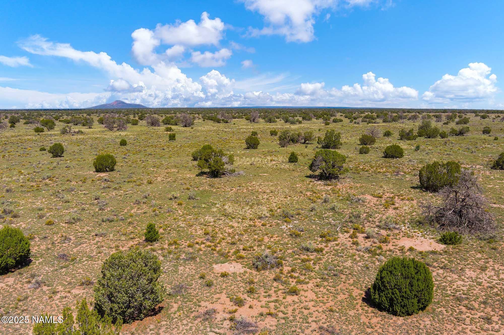 4441 East Indian Meadows Road Williams, AZ 86046 - Photo 18 of 23 a view of a yard with an ocean view