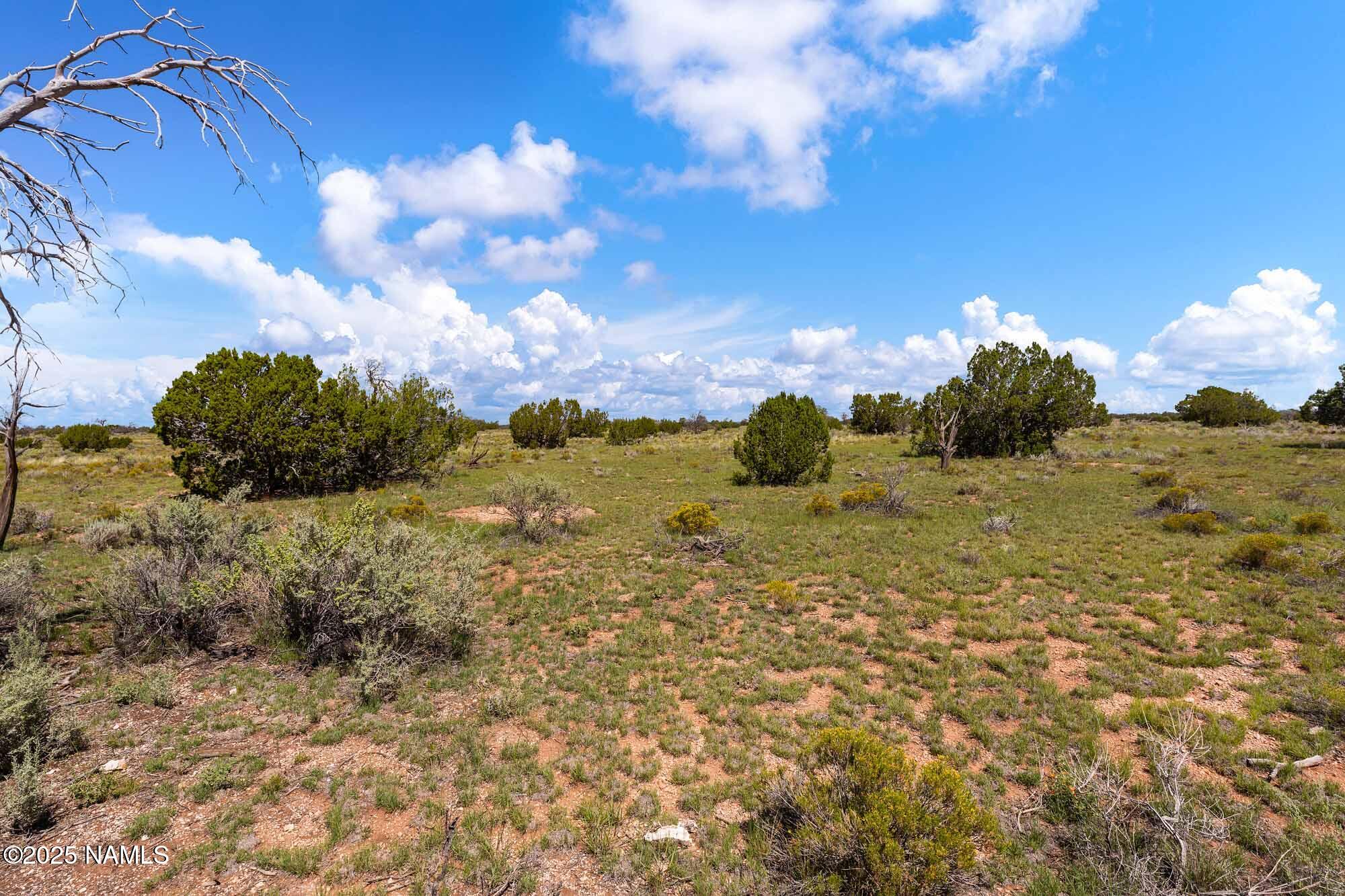 4441 East Indian Meadows Road Williams, AZ 86046 - Photo 19 of 23 a view of a lake with a big yard