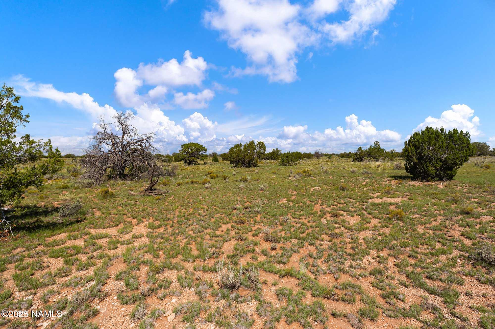 4441 East Indian Meadows Road Williams, AZ 86046 - Photo 20 of 23 a view of a lake