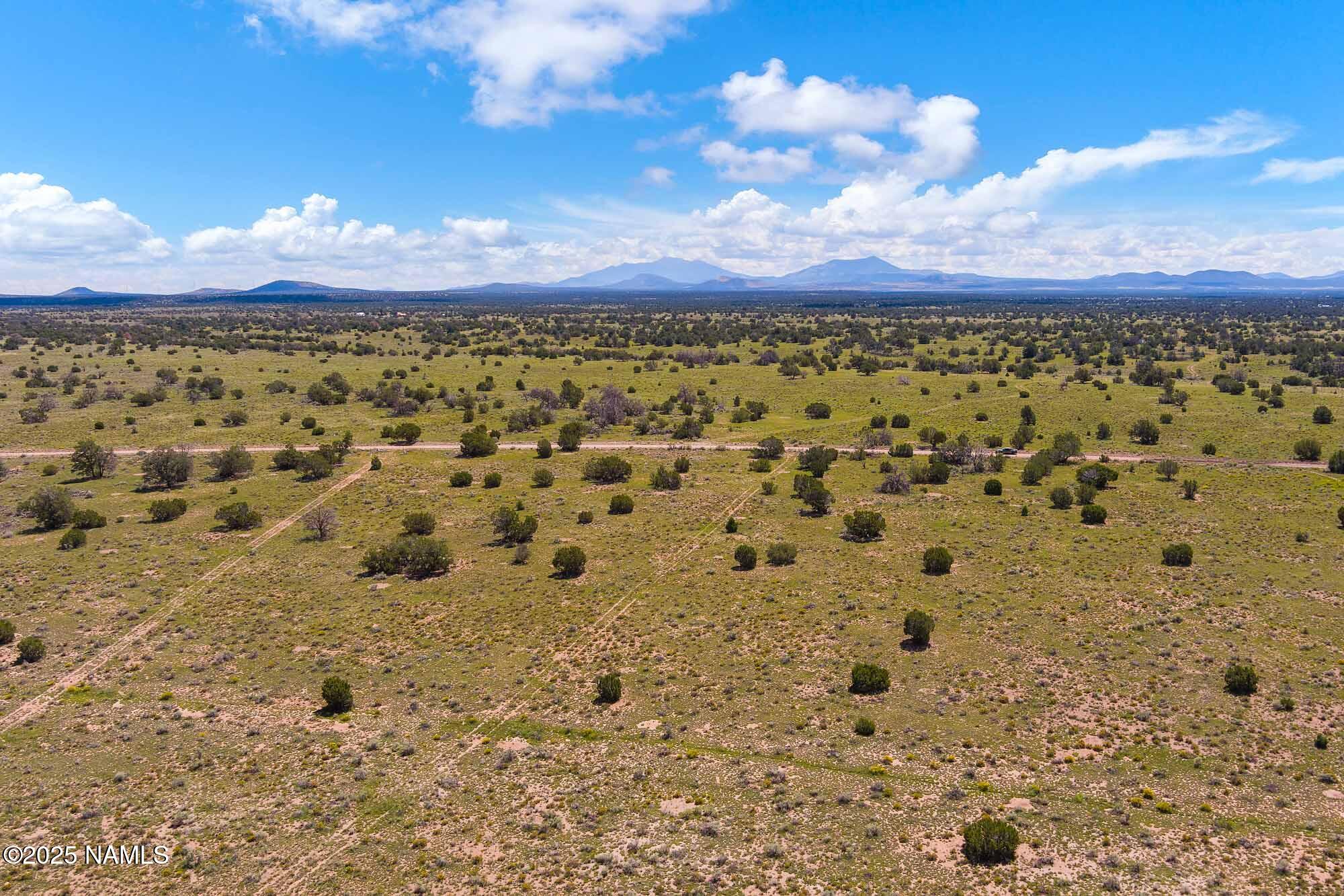 4441 East Indian Meadows Road Williams, AZ 86046 - Photo 2 of 23