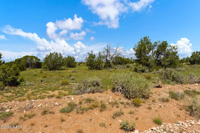 $58,000 | 4441 East Indian Meadows Road, Williams, AZ 86046