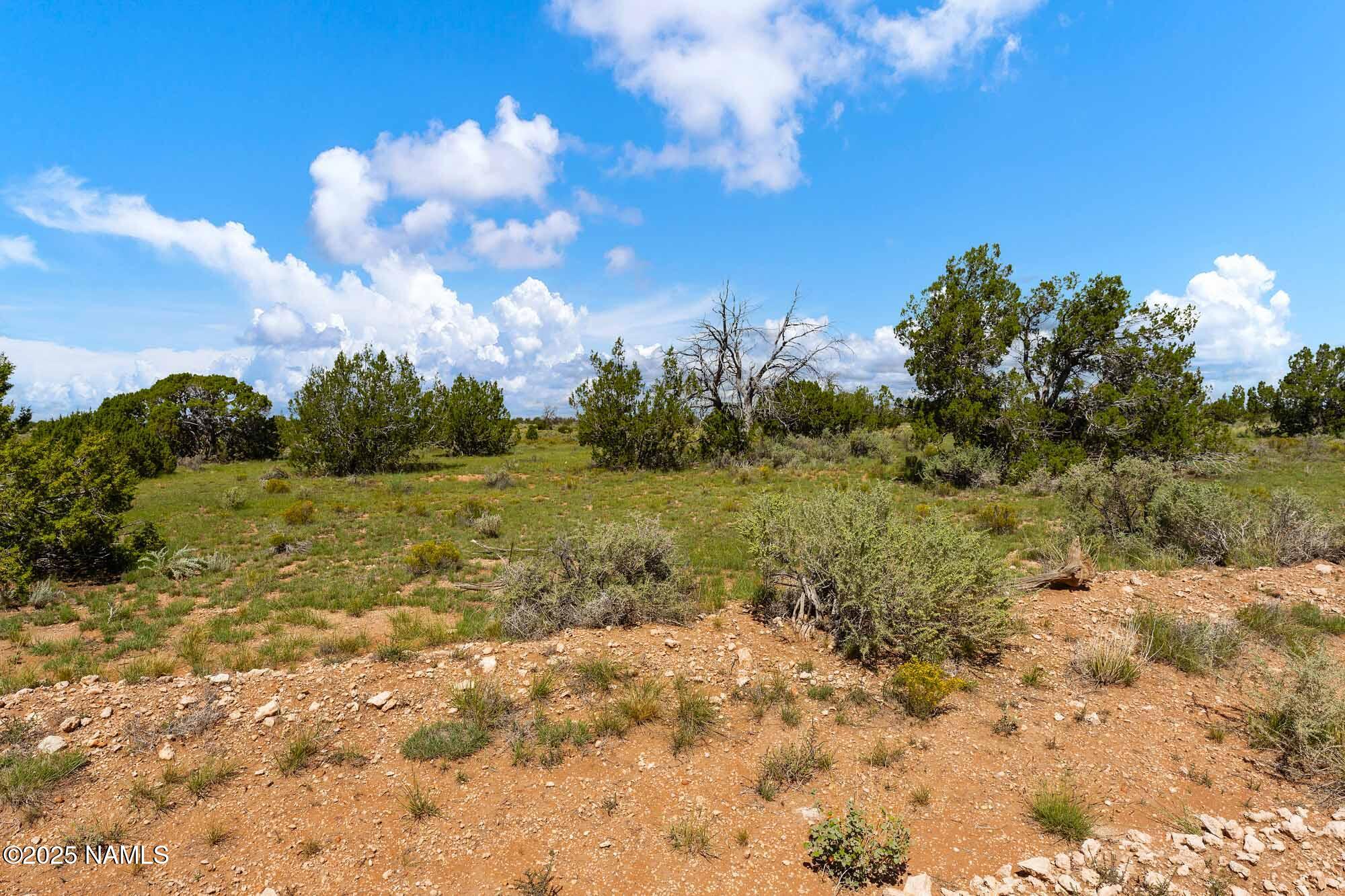 4441 East Indian Meadows Road Williams, AZ 86046 - Photo 21 of 23 a view of a bunch of trees