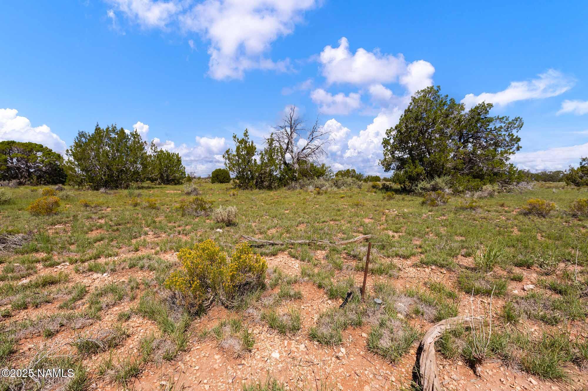 4441 East Indian Meadows Road Williams, AZ 86046 - Photo 22 of 23 a view of an ocean