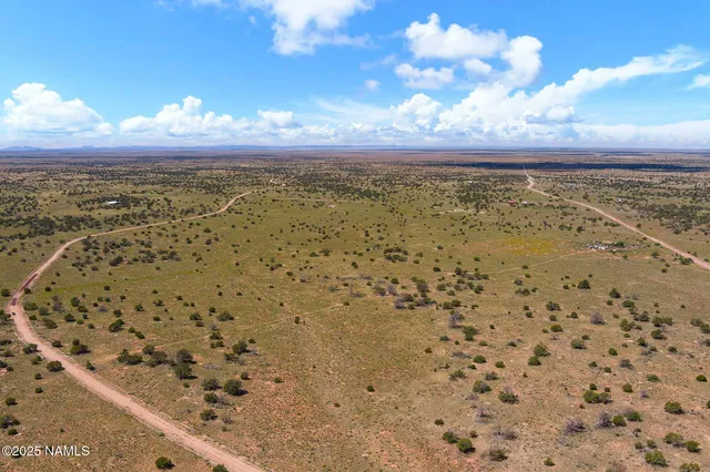 a view of a sky from a yard